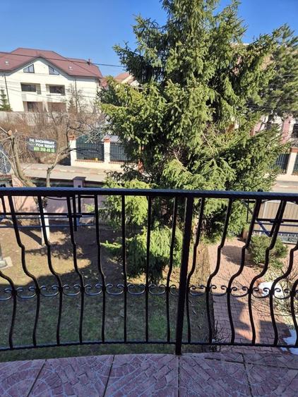 Vilă 4 camere Iancu Nicolae: Grădină proprie 500 mp, garaj și terasă - 18