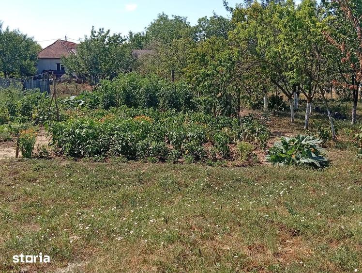 Casă cu 7 camere cu Teren 1900 Mp în Central