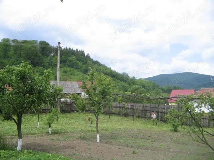 Casa de vacanta de vanzare - 11