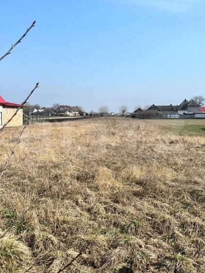 Teren Construcții intravilan de 2690 mp, în Frătăuții Vechi