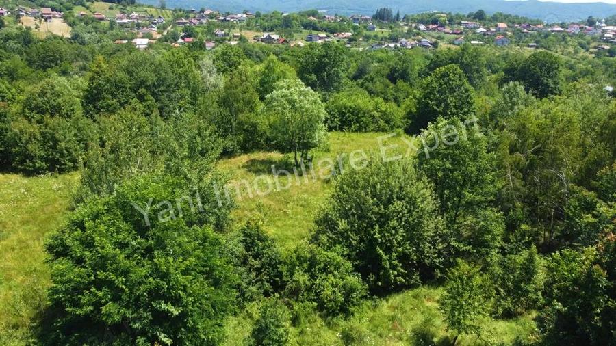 Teren de vanzare in comuna Baicule?ti, sat Valea lui Enache, jude? Arge?. - 3