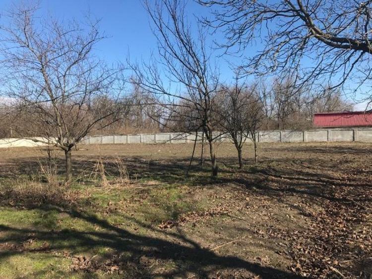 Hala depozitare cu teren 3580 mp comuna Dragoiesti Jud.Ialomita - 4