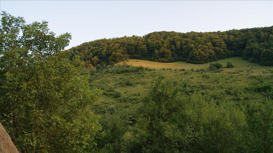 10 hectare teren plus casa la munte in Buces, Hunedoara - 11