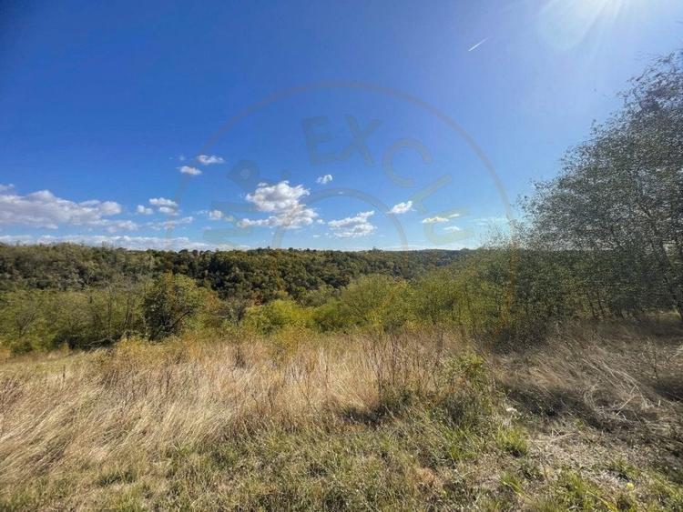 Teren Babana Arges - 5