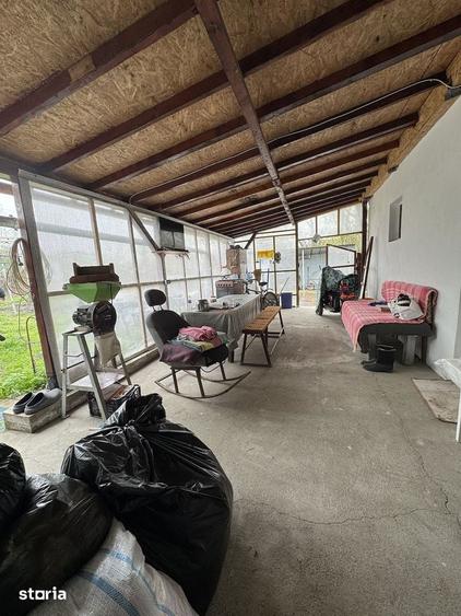 Casa 2 camere | Vucova | 1449 mp teren - 5