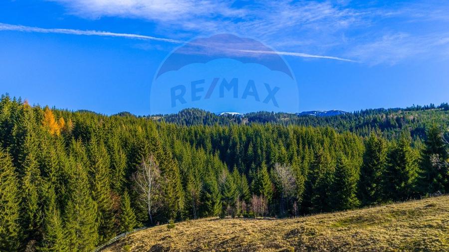 COMISION 0% Teren 13,800mp Fundatica / Intravilan - 12