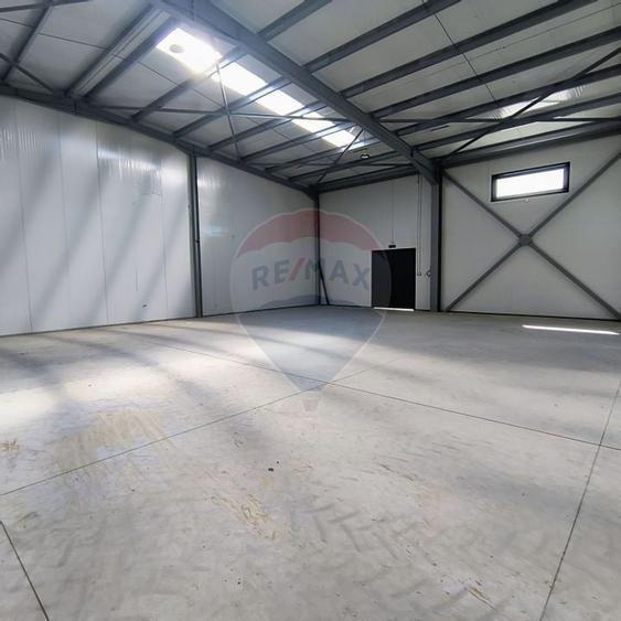 Spațiu industrial 595 Mp Soseaua de Centura Chitila - 13