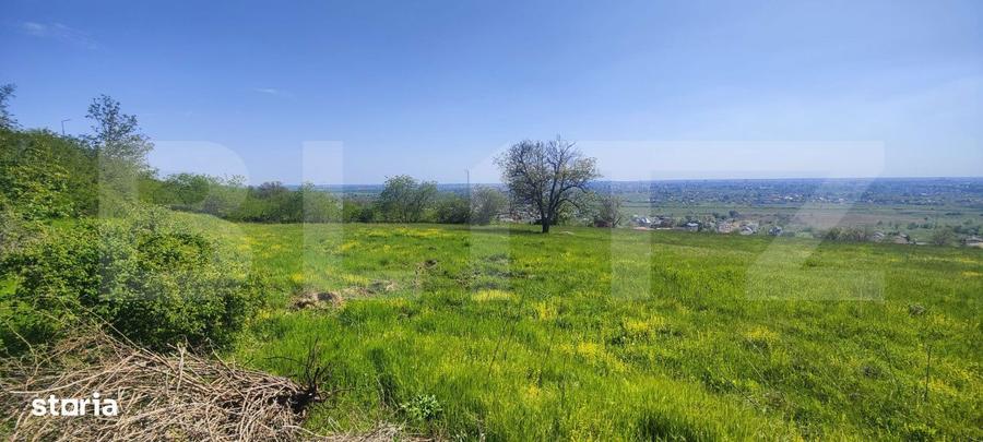 Teren Panoramic 15.500 mp Investitie sau Dezvoltare, Zona Aleea Ma - 14