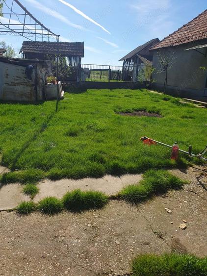 Vand casa Bicaci - 5