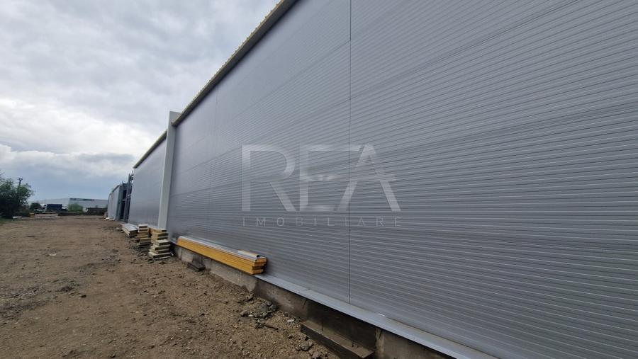 Hale depozitare/productie deschidere la Centura\Chitila - 7