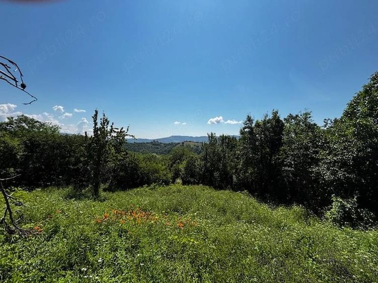Teren de 3100 mp, în Dăești