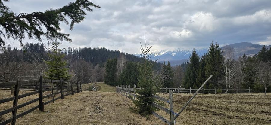 Teren Construcții intravilan de 3040 mp, în Bran