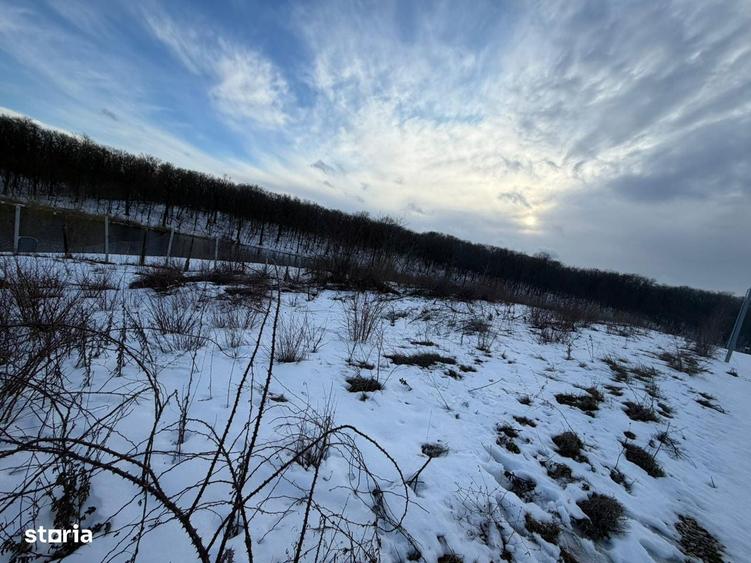 Teren intravilan de vanzare cu deschidere la lac, Branesti - 7