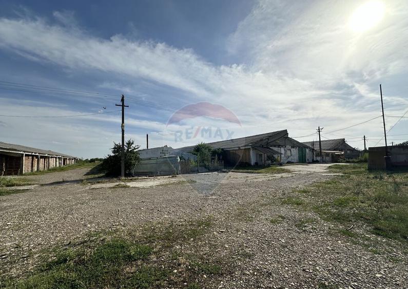 Spa?iu industrial Hale si Fabrica de lemn - 10