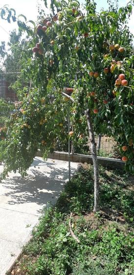 Vand vila p+1+pod - 3