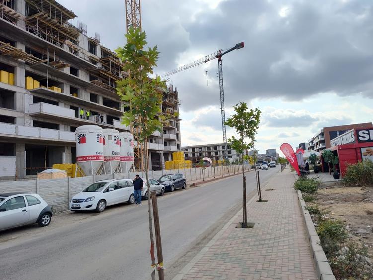 Proprietar -  Închiriere Spațiu Servicii si Birouri  cu vad EXCELENT! - 7