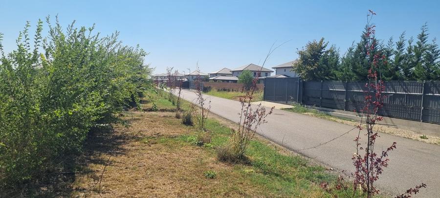 Teren intravilan Balotesti, Complex Good Afternoong - 5