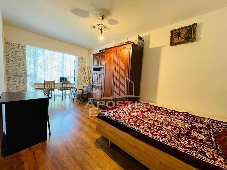 Apartament 1 camera/Podgoria/Vedere Panoramică la Bazinul de Înot - 1