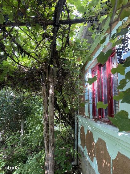 Casa cu 3 camere ?i teren generos in Ciceu - 3