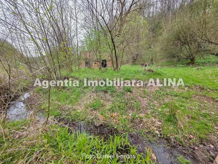 Teren intravilan 1.700 mp + 6.600 mp Padure de foioase + 1.200 mp Padure de foioase, Sat Nojag. - 16