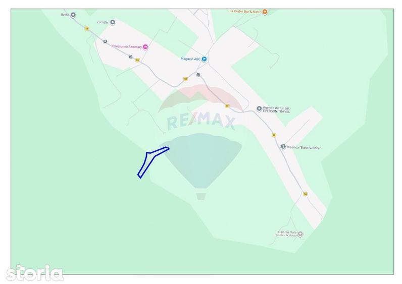 Teren intravilan, 9465 mp, Betfia, langa padure, de vanzare - 1