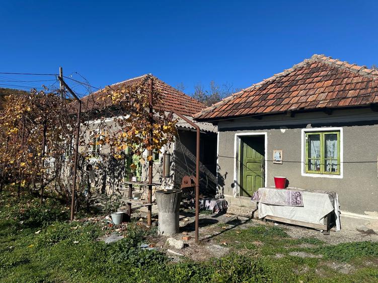 Casa batraneasca + casa noua la rosu, teren 6.900 mp Cotmeana, Arges - 4