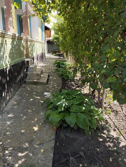 Casa de vanzare 1120mp,Glodeanu Sarat Buzau - 2