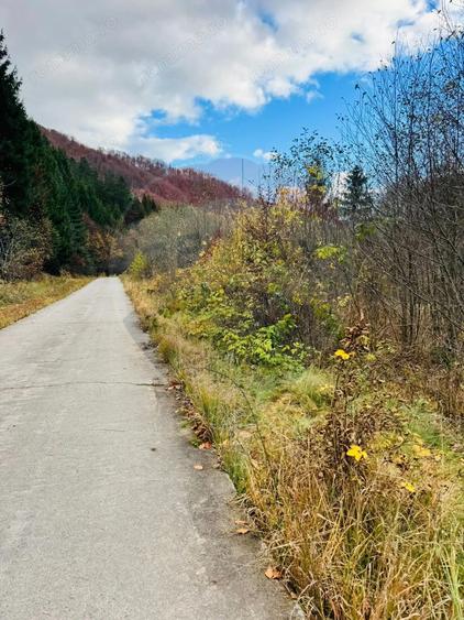 Teren 4,877mp Mara / Strada Principala - 4