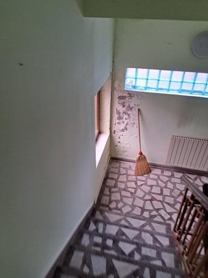 Simion Barnutiu- Comercial/Productie- 754 mp- 500 mp utili - 7