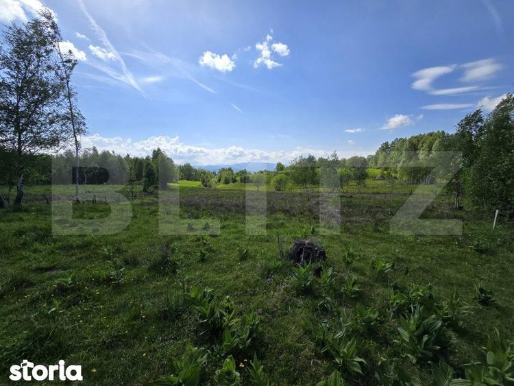 Teren extravilan 13103 mp in Dealu Mare! Oportunitate investitie! - 1