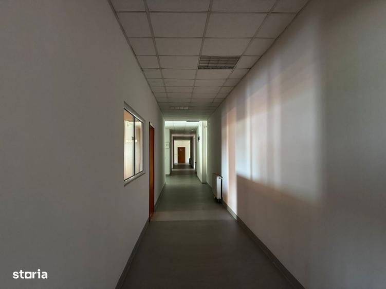 Hala productie/ depozitare frigorifica in Timisoara - 1