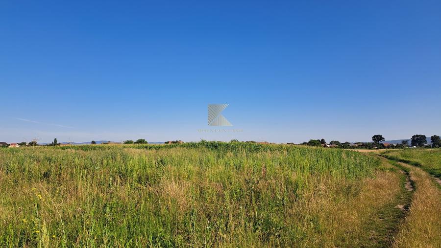 Posibilitate RATE | Teren Bod | curti constructii | utilitati | PUZ, - 16