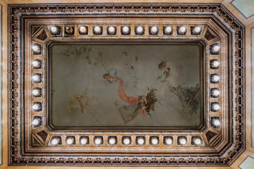 Vilă / Palat / Investiție zonă Universitate - 6