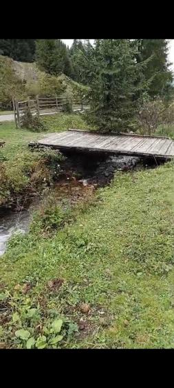 DIRECT PROPRIETAR Atractiv pentru pensiune/casa de vacanta): Teren de Poveste la Munte 6.000 mp Intravilan + 6.000 mp Extravilan,Dorna Arini-Ortoaia - 5