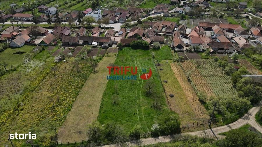 Casă cu 4 camere cu Teren 5000 Mp în Cricău