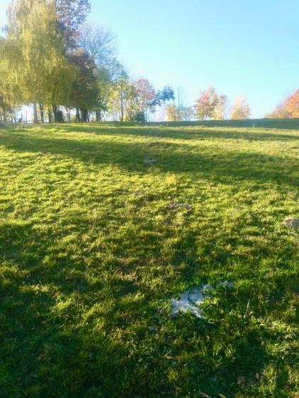 Teren intravilan de vanzare – Bran, Sohodol - 3