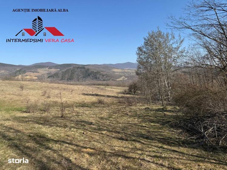 Teren extravilan 28900 mp de vanzare in Stauini Jud Alba - 6