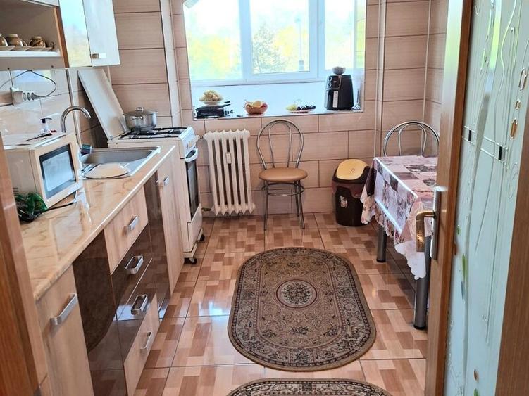 Lacul Tei, Parc, stradal et 2 dec ved pe parc fara risc seismic reab term - 4