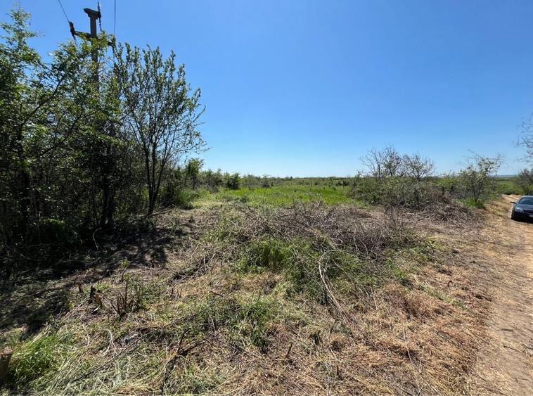 Teren 1450mp Carcea - 3