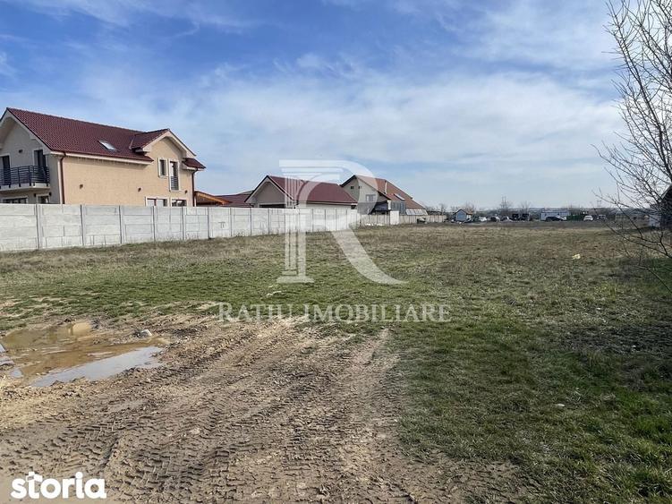 Teren intravilan 1000 MP | Cartierul Grigorescu | Oradea - 3