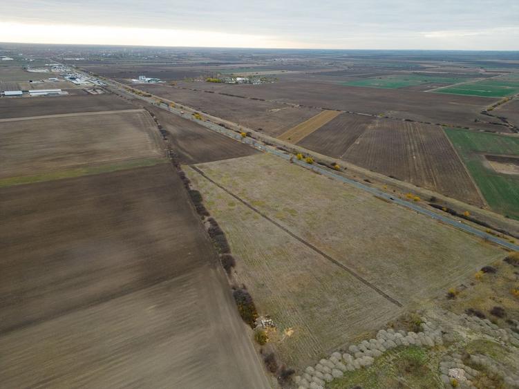 Teren 22.500 mp – Pecica, jud. Arad - 2