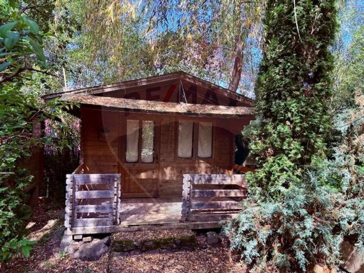 Ansamblu de 7 Căsuțe de Vacanță, Ocna Șugatag - 1