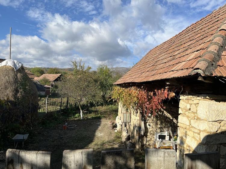 Casa in Podeni, potential deosebit - 7