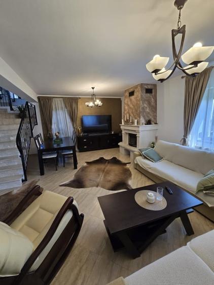 Casa de Vis, Serbanesti - 14