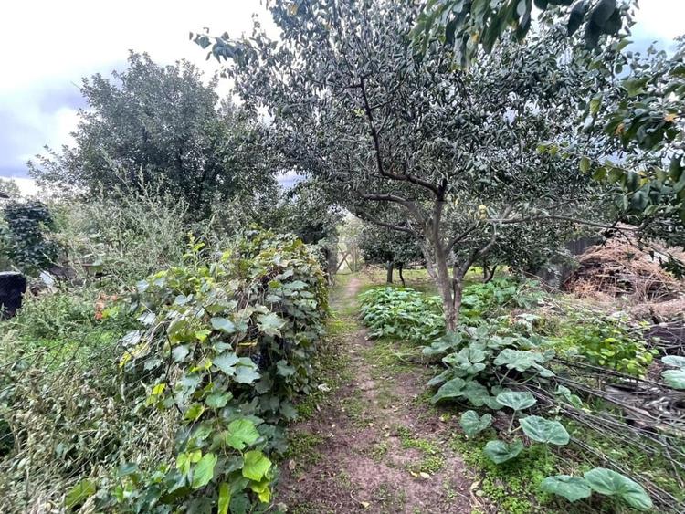 Casa si teren de 2368 mp , Zona Calea Bucuresti - 3