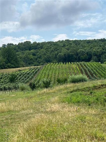 Teren Tomesti 3750MP - 3