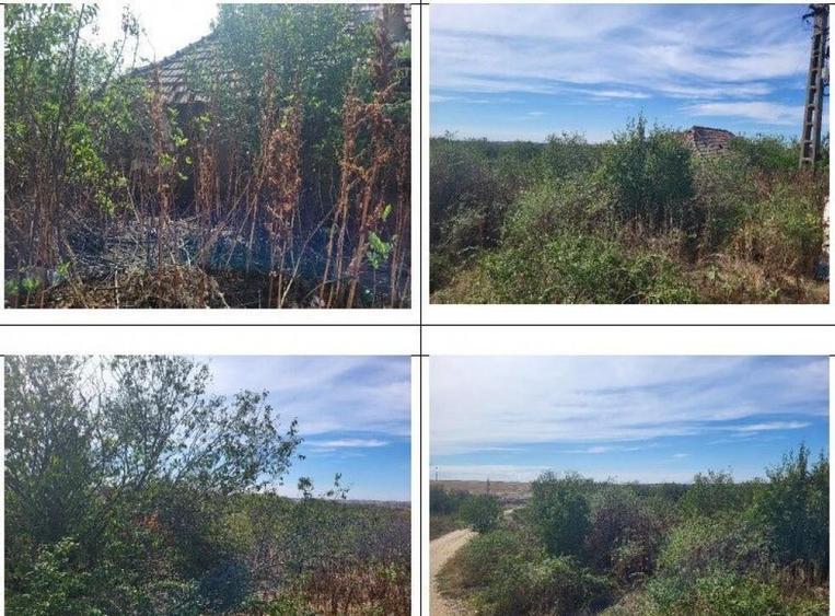 Casa si teren Sat Guruieni, cota parte de 1/2 , ID: R2319667 - 10