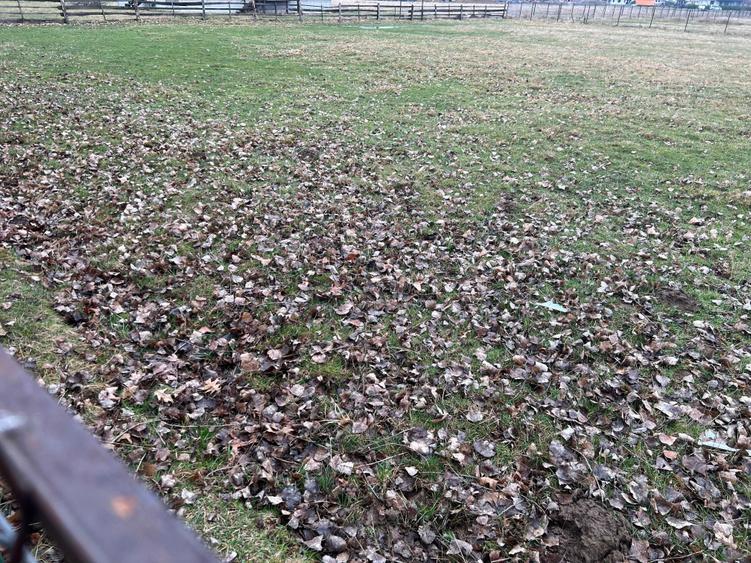 Vand teren intravilan in Horodnic de Sus strada Toplitei 30 ari - 2