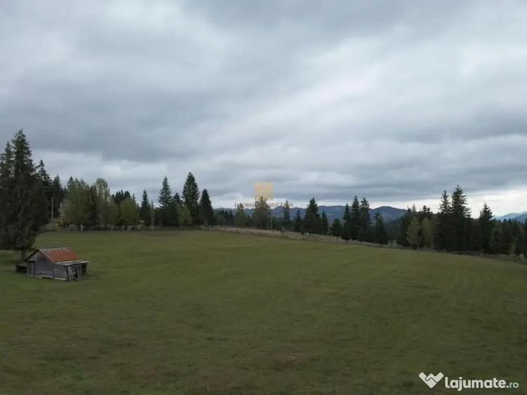 Teren 2804 mp, la munte! In Bucovina Fundu Moldovei! - 1