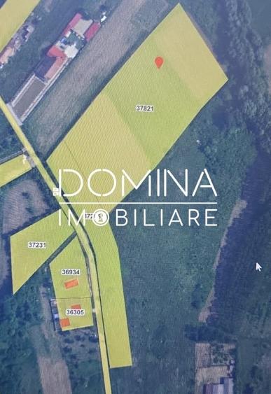 Vânzare teren intravilan 20.386 mp în Câlnic–traversat de râu, 19 km de Tg Jiu - 8